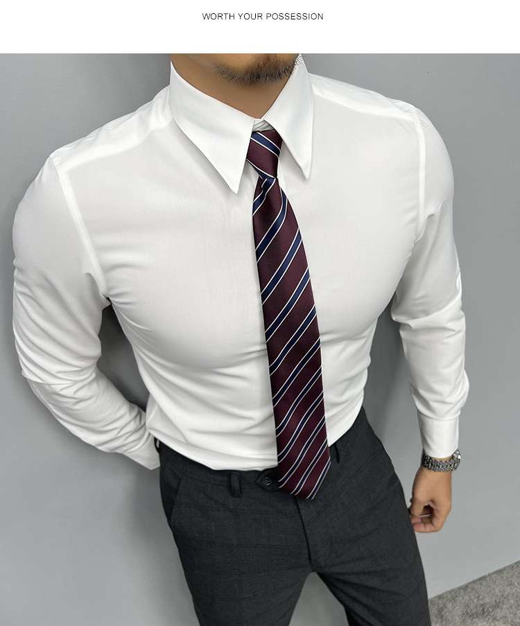  就活必勝ストライプネクタイセット